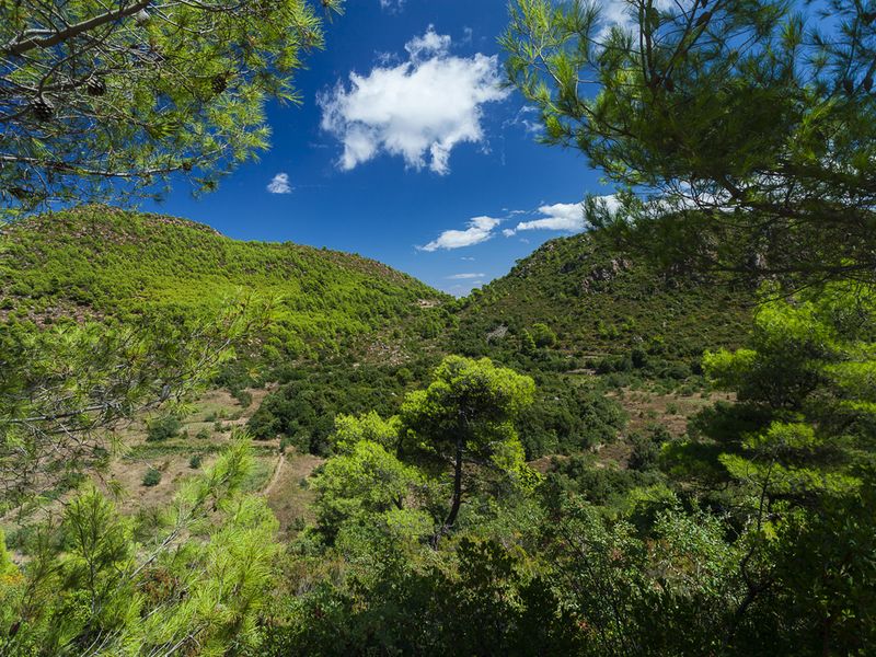 Das Bergland von Methana mit seinen Kiefernwäldern benötigt einen strengen Schutz
